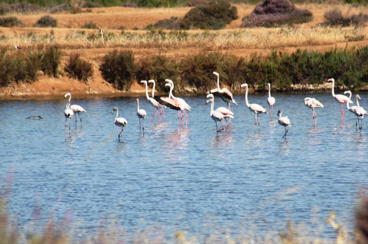 Herdade Dos Salgados Do Fialho FAO Buitenkant foto