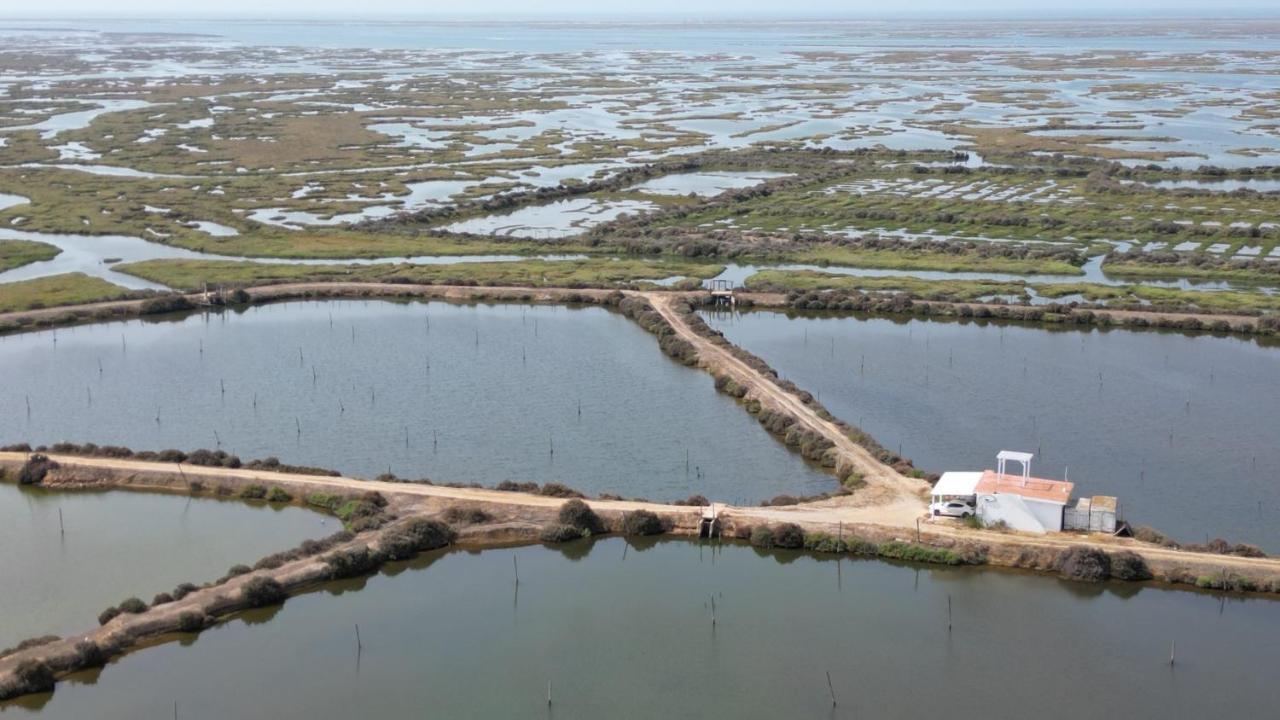 Herdade Dos Salgados Do Fialho FAO Buitenkant foto