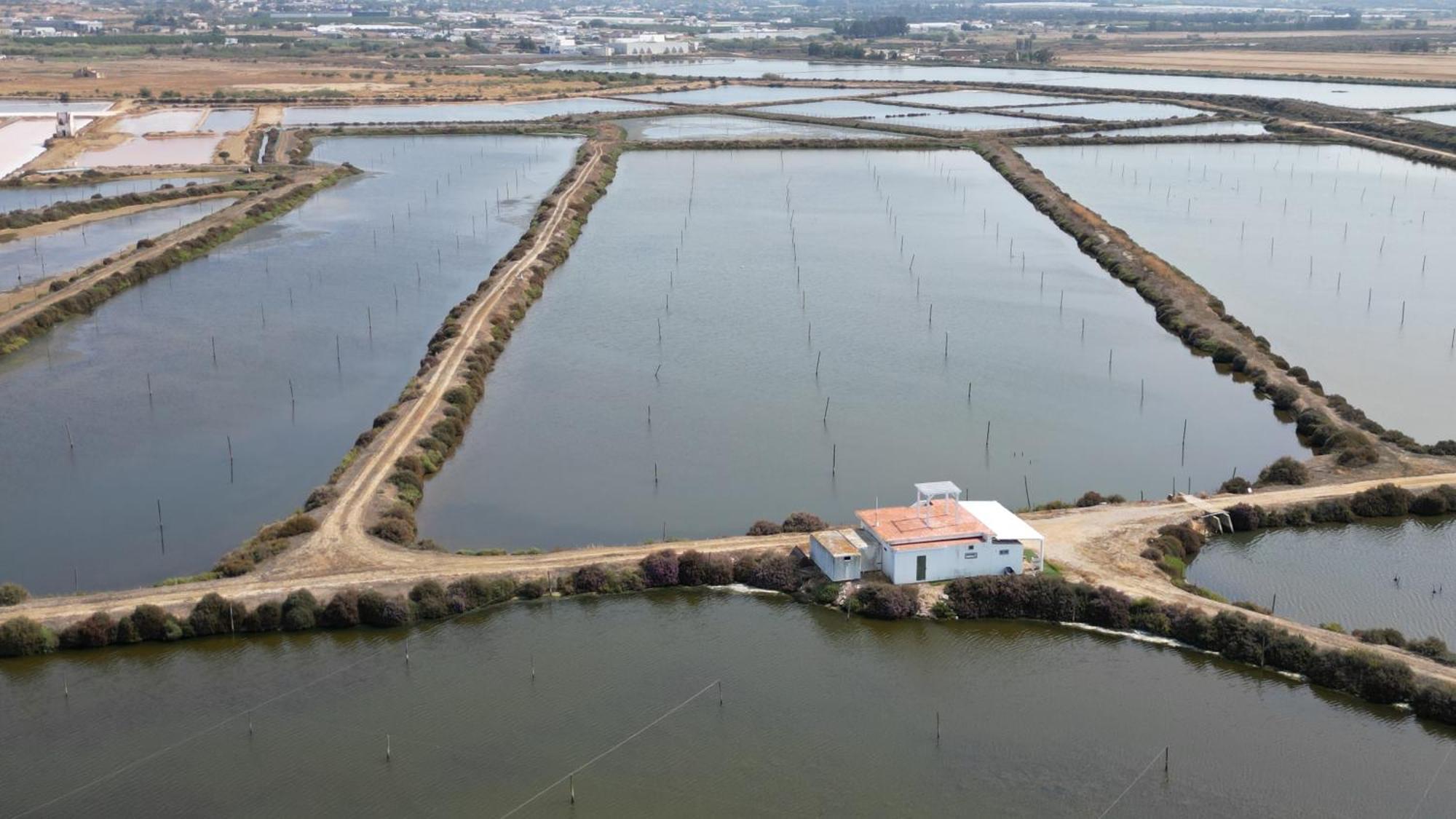 Herdade Dos Salgados Do Fialho FAO Buitenkant foto