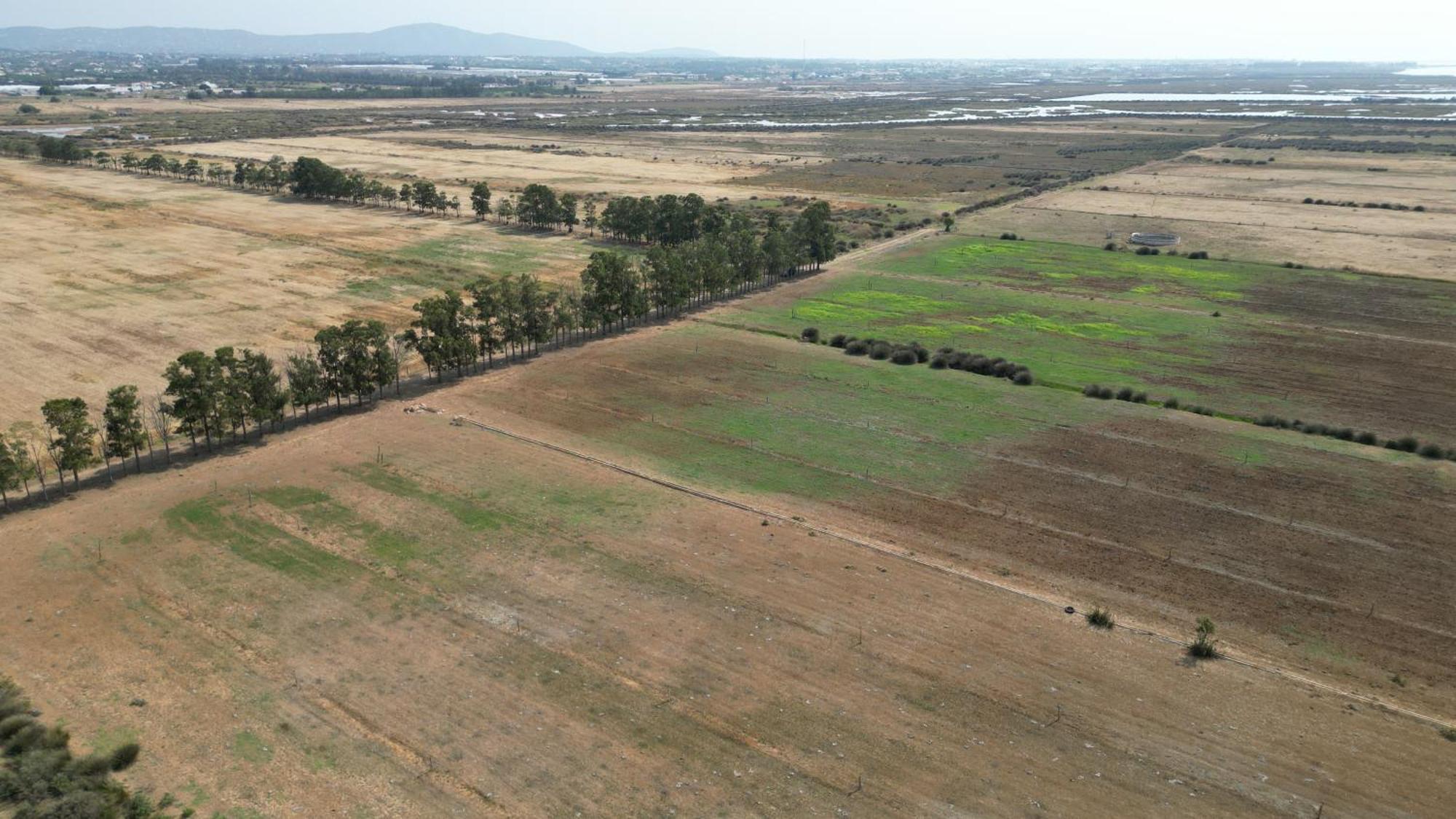 Herdade Dos Salgados Do Fialho FAO Buitenkant foto