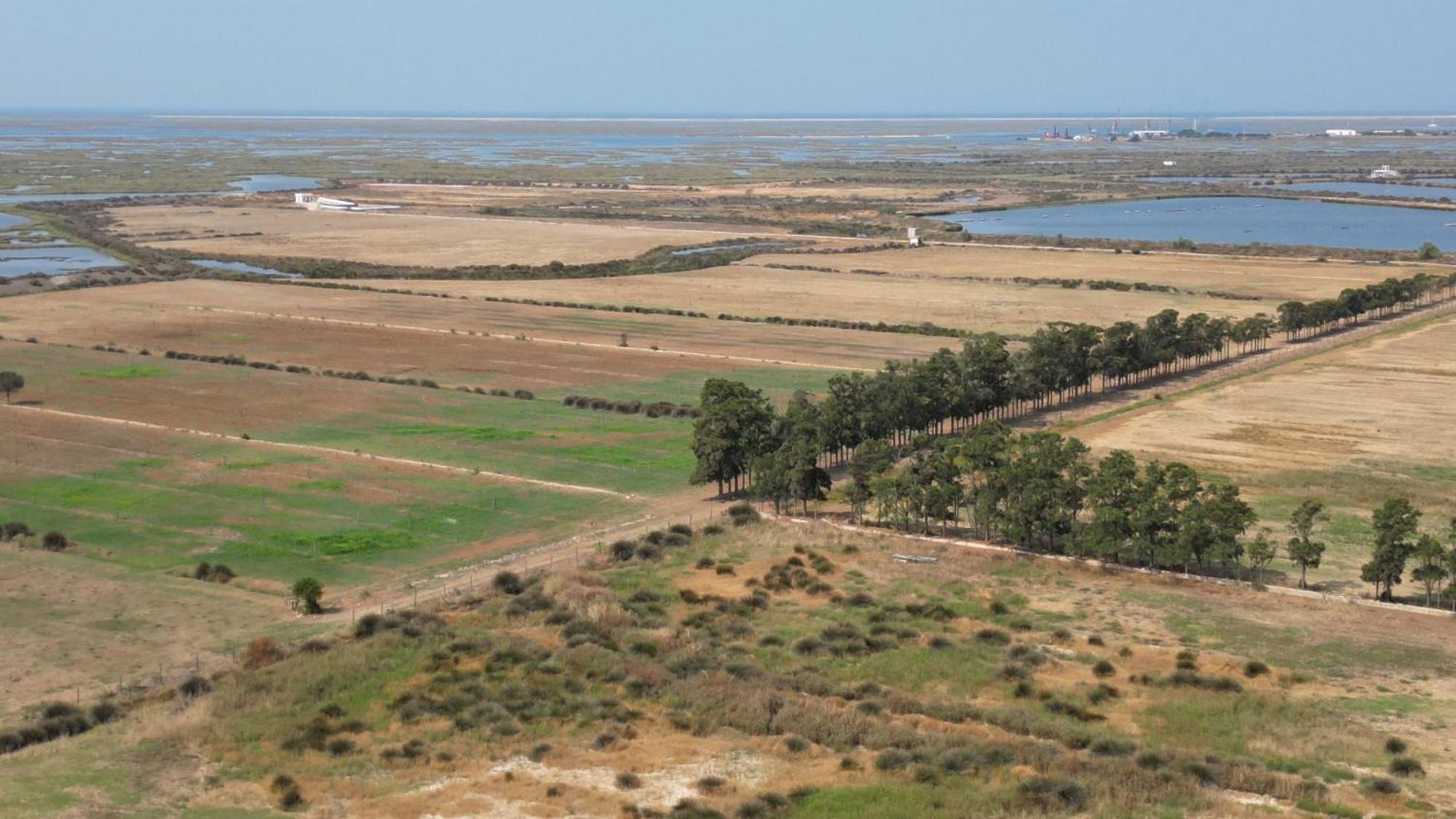 Herdade Dos Salgados Do Fialho FAO Buitenkant foto
