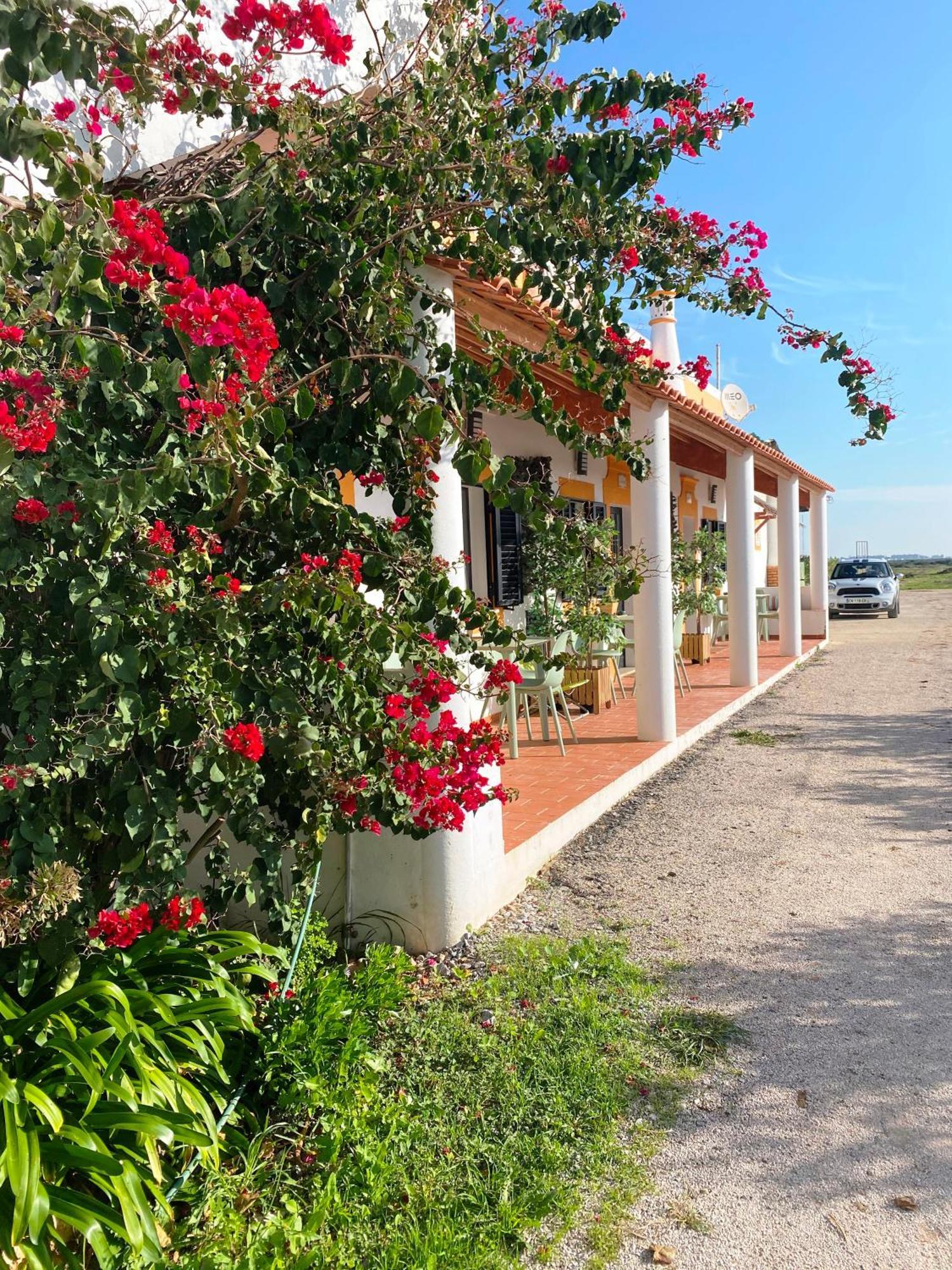 Herdade Dos Salgados Do Fialho FAO Buitenkant foto